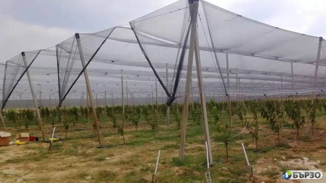 СКАЙ ПРОТЕКТ – Мрежи за селското стопанство и строителството