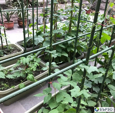 СКАЙ ПРОТЕКТ – Мрежи за селското стопанство и строителството