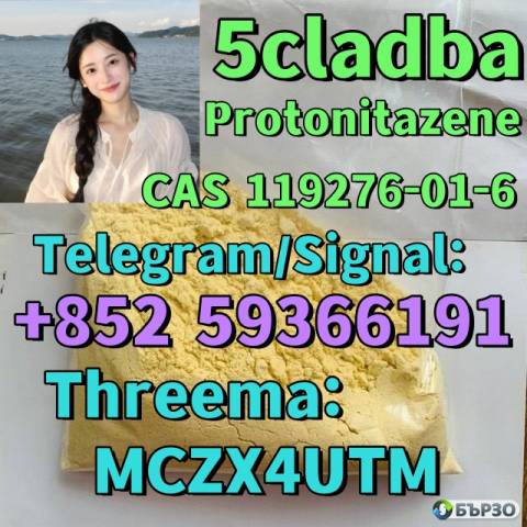 Protonitazene CAS 119276 - 01 - 6