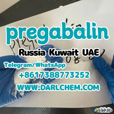 Darl Chemical Wholesale 99 Pure pregabalin crystals powder 148553-50-8 Salt