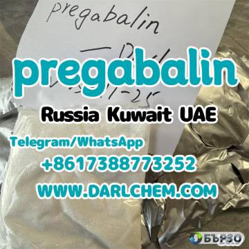 Darl Chemical Wholesale 99 Pure pregabalin...