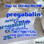 pregabalin crystals powder 148553-50-8 Salt 99